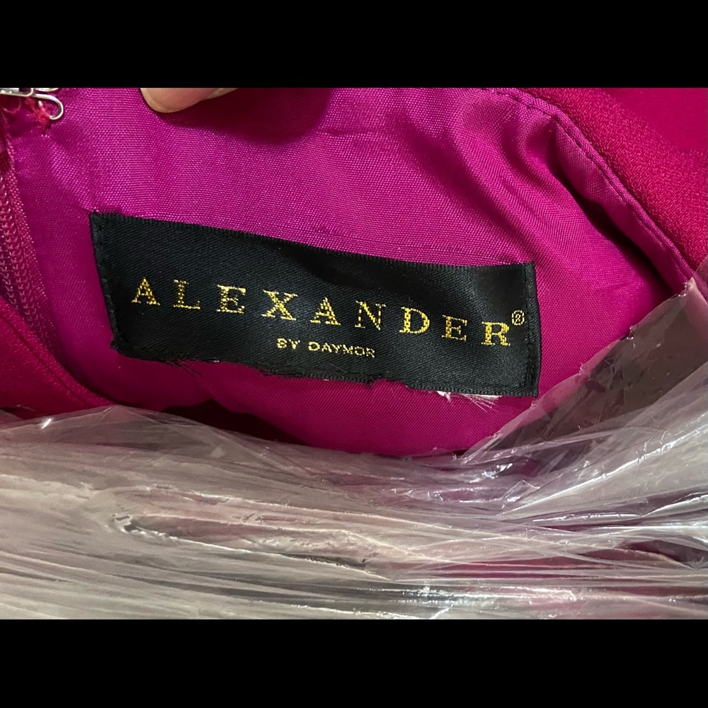 Alexander Daymor evening gown...MOTHER OF THE BRIDE! Worn once! - Picture 4 of 11